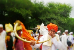 Pandharpur-Wari-Palkhi-Sohala