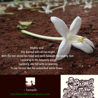 Announcement #6 : Photo Poetry on Flower Photography